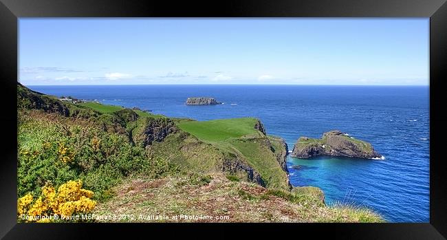 Carrick-a-Rede and Sheep islands Framed Print by David McFarland