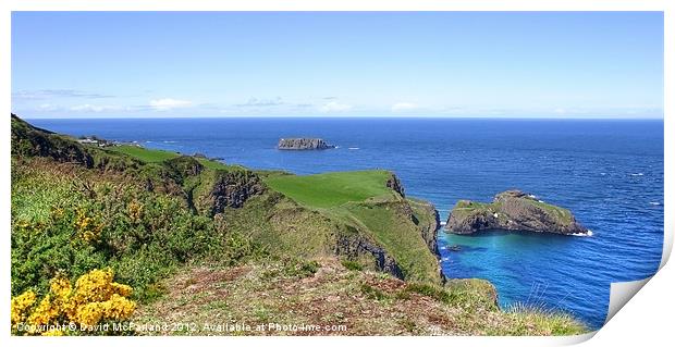 Carrick-a-Rede and Sheep islands Print by David McFarland