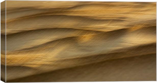 Shifting Sand Canvas Print by Judy Andrews