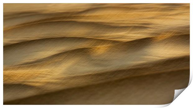 Shifting Sand Print by Judy Andrews