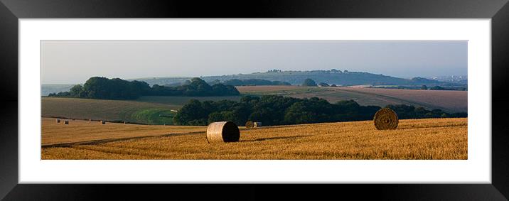 View from Chanctonbury Ring Framed Mounted Print by Judy Andrews