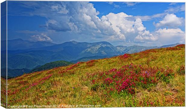 Summer in the mountains Canvas Print by Paul Piciu-Horvat