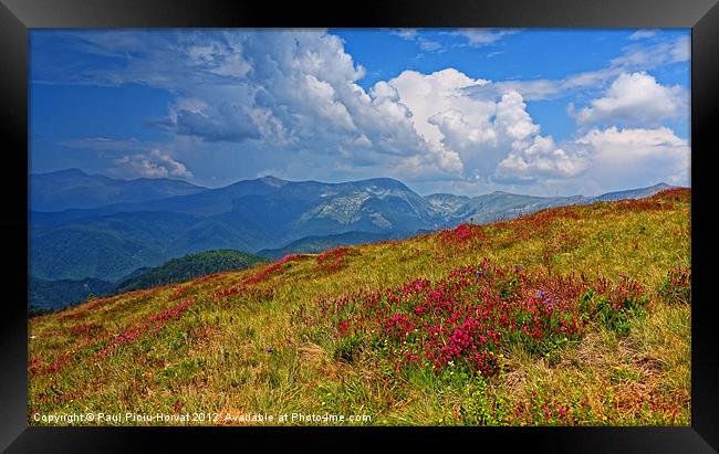 Summer in the mountains Framed Print by Paul Piciu-Horvat