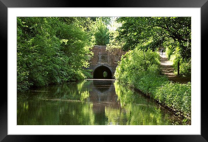 Brandwood Tunnel Framed Mounted Print by graham young