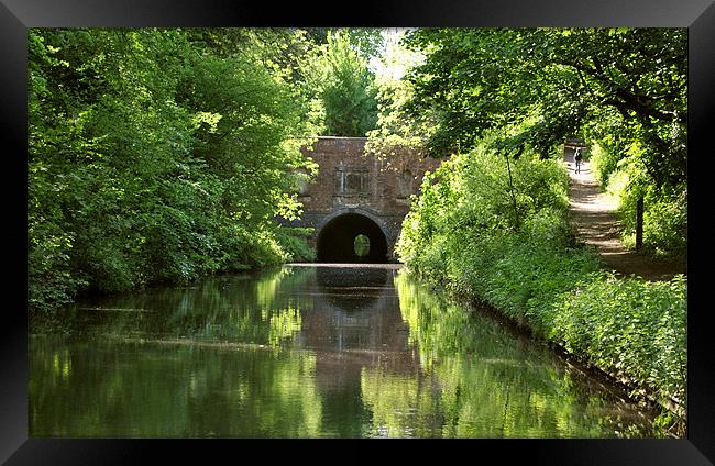 Brandwood Tunnel Framed Print by graham young