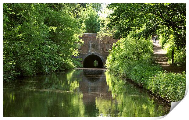 Brandwood Tunnel Print by graham young