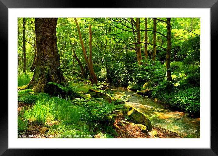 Hawksworth Woods. Framed Mounted Print by Colin Metcalf