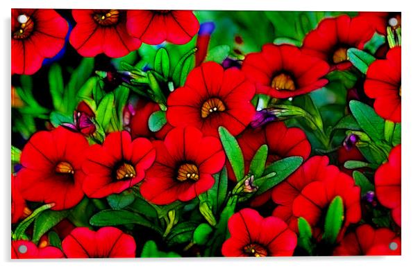 Garden Red Acrylic by Kathleen Stephens