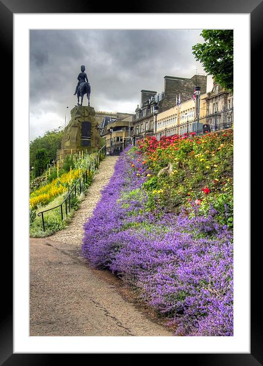 Lavender in the Park Framed Mounted Print by Tom Gomez
