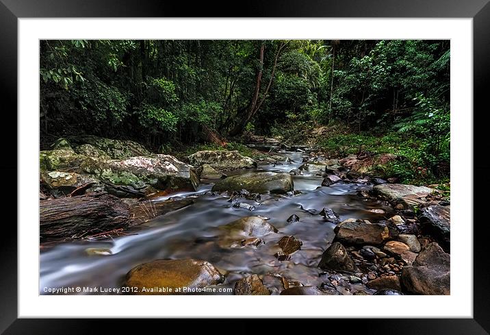 Creek in the Wilderness Framed Mounted Print by Mark Lucey