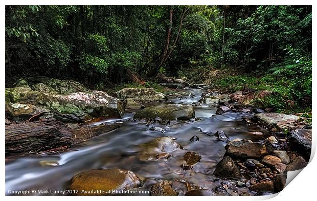 Creek in the Wilderness Print by Mark Lucey