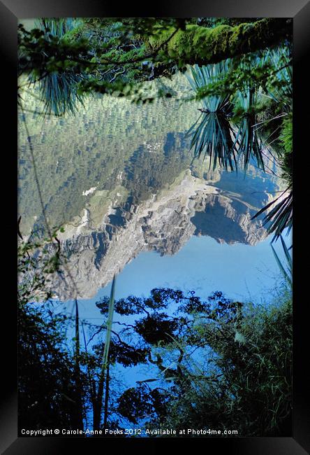 Mirror Lake Two New Zealand Framed Print by Carole-Anne Fooks
