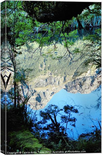 Mirror Lake Three New Zealand Canvas Print by Carole-Anne Fooks