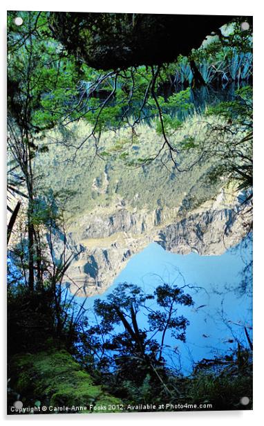 Mirror Lake Three New Zealand Acrylic by Carole-Anne Fooks