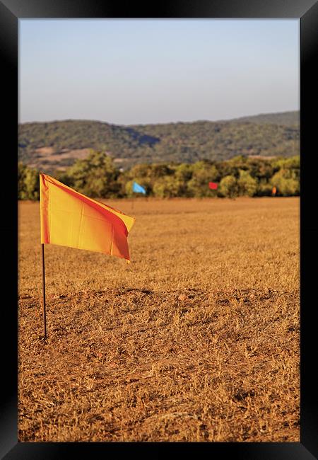 Yellow flag golf drive range Framed Print by Arfabita  