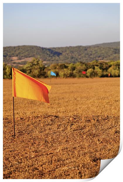 Yellow flag golf drive range Print by Arfabita  