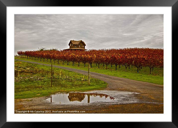 Autumn Vineyard Rain Framed Mounted Print by Nik Catalina