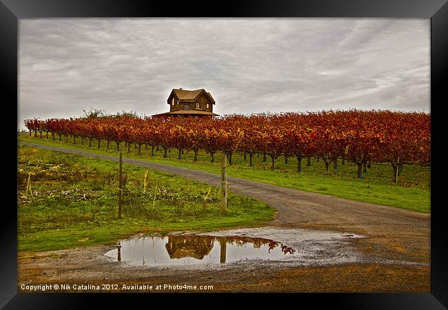Autumn Vineyard Rain Framed Print by Nik Catalina