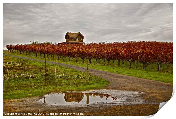 Autumn Vineyard Rain Print by Nik Catalina