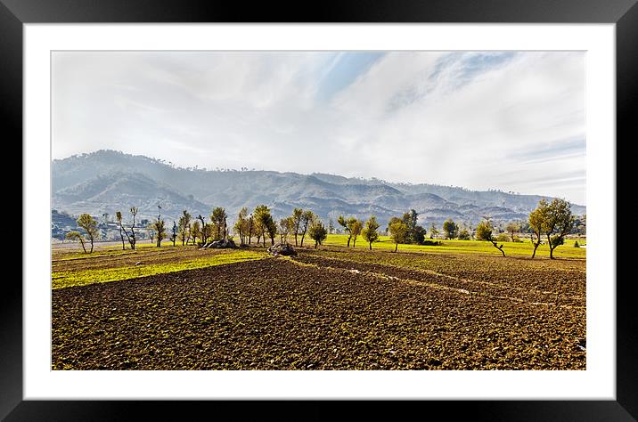 Himalayas Agriculture lines Framed Mounted Print by Arfabita  