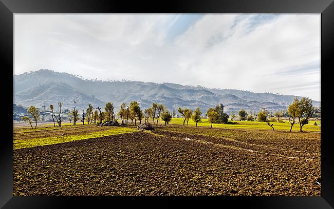Himalayas Agriculture lines Framed Print by Arfabita  