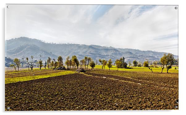 Himalayas Agriculture lines Acrylic by Arfabita  