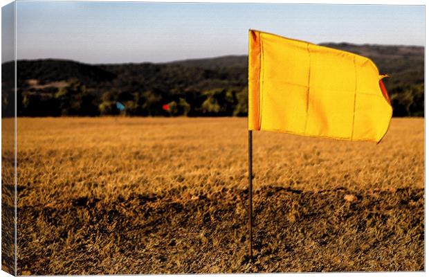 Golf drive hundred metre flags Canvas Print by Arfabita  