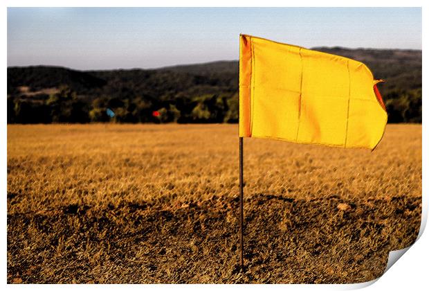 Golf drive hundred metre flags Print by Arfabita  