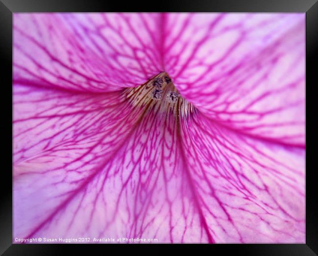 Wonders Framed Print by Susan Medeiros