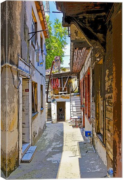 Istanbul Alley the non-tourist side Canvas Print by Arfabita  