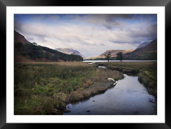 EARLY AUTUMN BUTTERMERE Framed Mounted Print by Anthony R Dudley (LRPS)