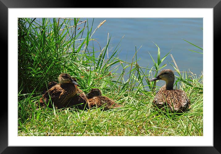 Relaxing with Mom Framed Mounted Print by Elaine Manley