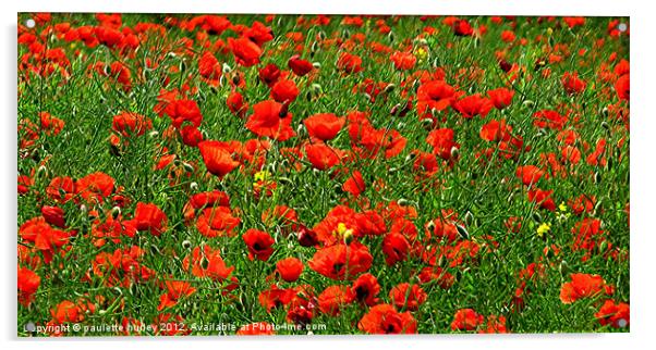Poppy Field Delight. Acrylic by paulette hurley