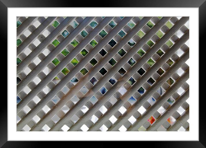 White lattice screening garden view Framed Mounted Print by Arfabita  