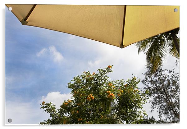 Tropical parasol under coconut palms Acrylic by Arfabita  