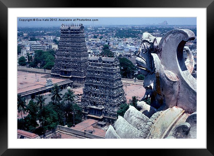 Madurai Framed Mounted Print by Eva Kato