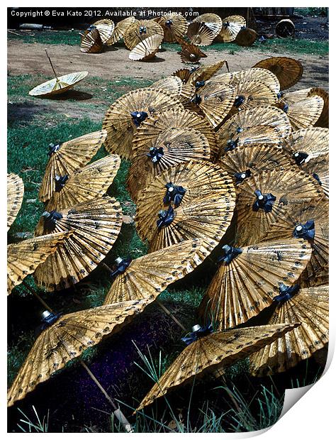 Umbrellas Print by Eva Kato