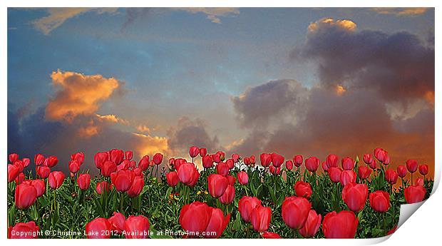 Forever Tulips Print by Christine Lake