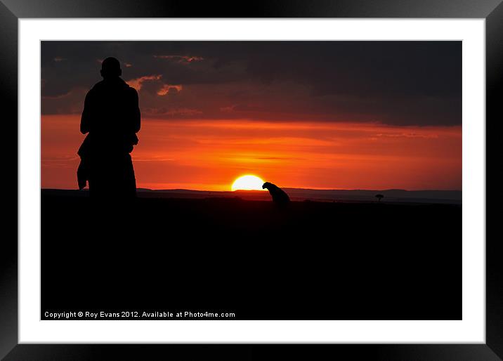 Sunset in Kenya Framed Mounted Print by Roy Evans