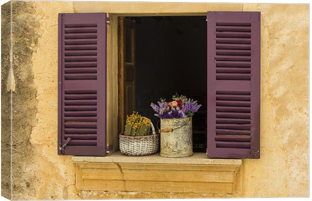 Rustic window Canvas Print by Kevin Tate