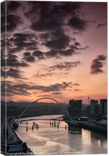 Newcastle View Canvas Print by Ray Pritchard