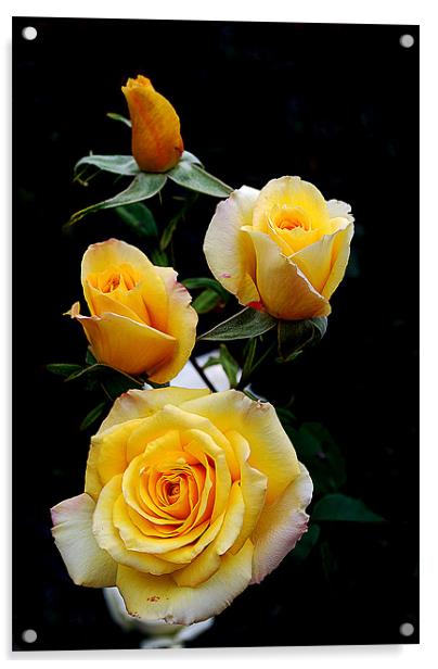 Yellow Roses Acrylic by Panas Wiwatpanachat