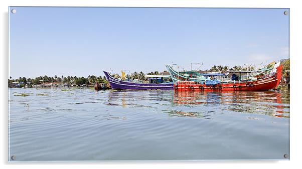 Colourful fishing boats moored Kochin Acrylic by Arfabita  