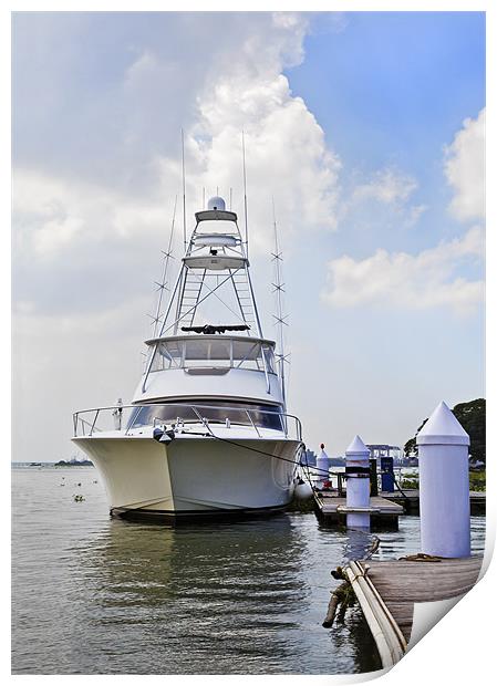 Luxury yacht  at Kochin jetty Print by Arfabita  