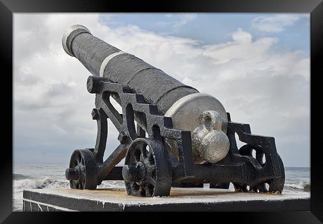 Angled cannon of Colombo Framed Print by Arfabita  