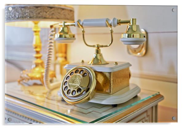 Ornate dog and bone brass telephone Acrylic by Arfabita  