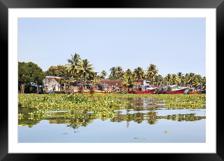 Kerala fishing boats moored and surrounded trapped Framed Mounted Print by Arfabita  