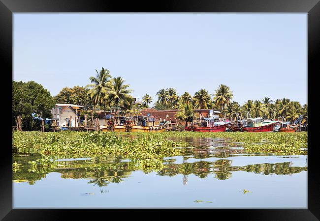 Kerala fishing boats moored and surrounded trapped Framed Print by Arfabita  