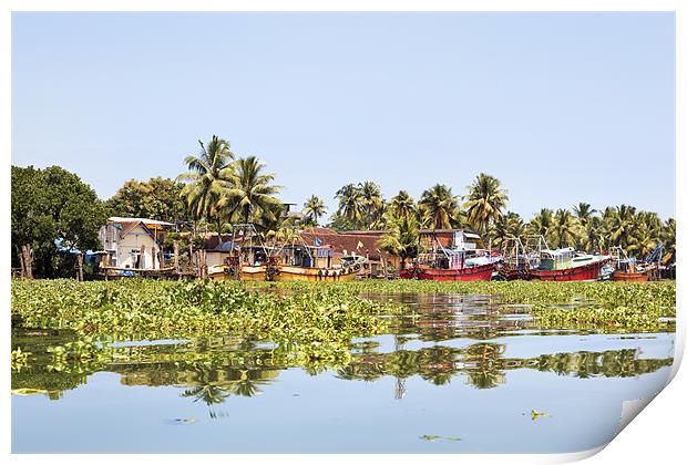 Kerala fishing boats moored and surrounded trapped Print by Arfabita  