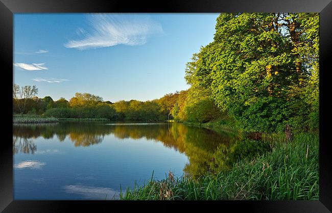 Lake reflections Framed Print by Dave Evans